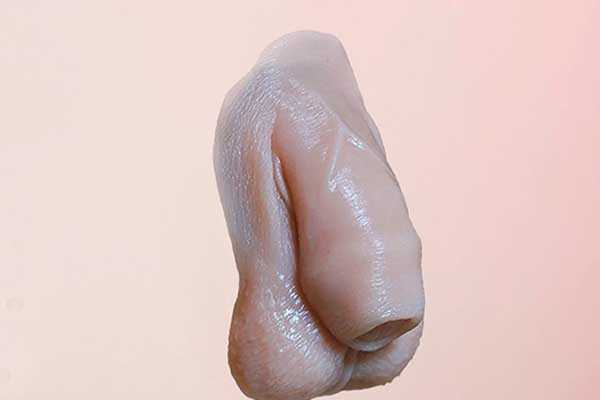 A Prosthesis Designed for Your Daily Comfort: The Exolymp FTM Packer