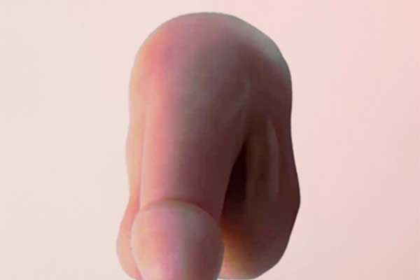 Packer Exogenesis: Your Ultimate Realistic and Comfortable Daily Solution